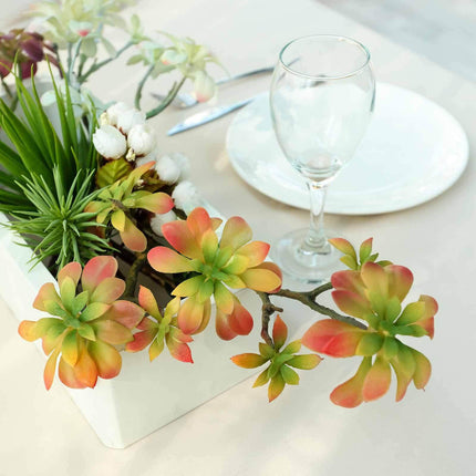 AliKopy 3 Pack 18" Assorted Artificial Aeonium Succulent Plants - Real