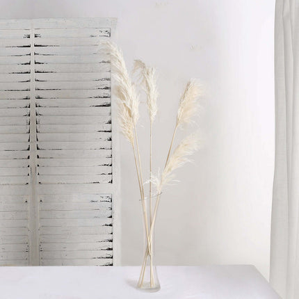 AliKopy 6 Stems Dried Pampas Grass - Off White, 32" for Boho Decor