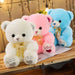 Super Soft Teddy Bear Plush Toy - Perfect Birthday Surprise for Kids