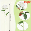 White / 10PCS