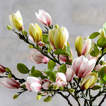 Peekaboo Studio Magnolia Artificial Flower Decoration - Realistic & Du