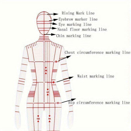 Fashion Designer's Acrylic Sketch Ruler - Ultimate Guide for Human Figure and Garment Designs
