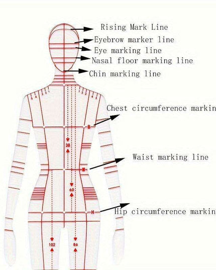 Fashion Designer's Acrylic Sketch Ruler - Ultimate Guide for Human Figure and Garment Designs