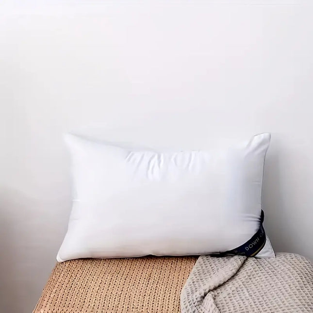 Peekaboo Studio 2-Pack Blue Bed Pillows - Hypoallergenic & Soft Suppor