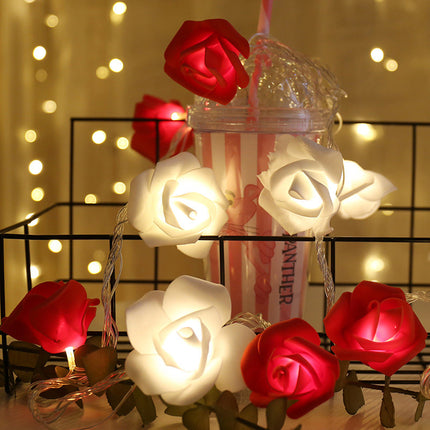 Peekaboo Studio Valentine's Day Proposal Light String - Romantic LED D