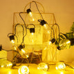 Warm 5 M 20 Lights