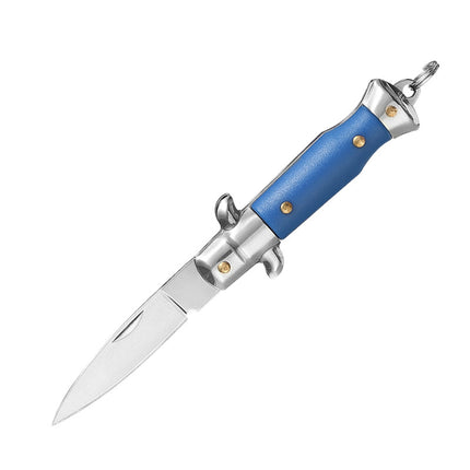 Compact Folding Knife with 440 Stainless Steel Blade and ABS Handle Keychain