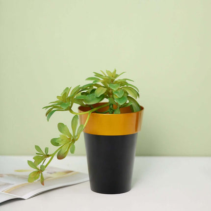 AliKopy 2-Pack Medium Black Flower Pots with Gold Rim - 6" Indoor Plan