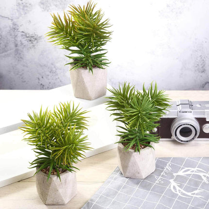 AliKopy 3-Pack Crassula Artificial Succulents in Stylish Ceramic Pots
