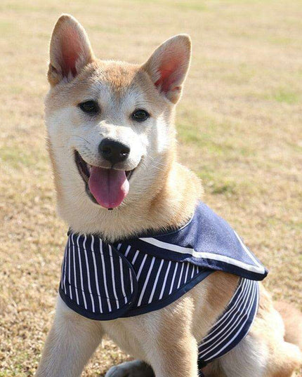 Stylish Navy Striped Dog Harness and Leash Set - Elegant Pet Outfit