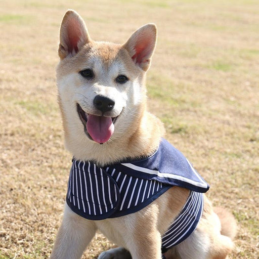 Charming Navy Striped Dog Harness Set - Ideal for Larger Breeds