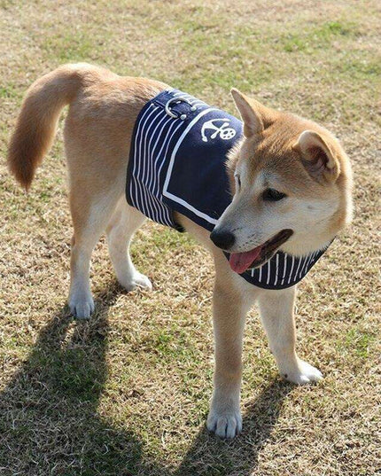 Stylish Navy Striped Dog Harness and Leash Set - Elegant Pet Outfit