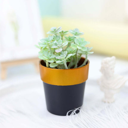 AliKopy 3-Pack Small Black Flower Pots with Gold Rim - Durable Plastic