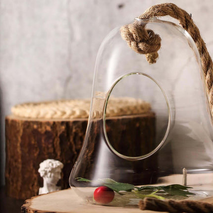AliKopy Glass Terrarium - 9" Hanging Bell Design for Air Plants