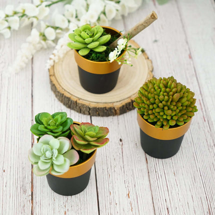 AliKopy 3-Pack Small Black Flower Pots with Gold Rim - Durable Plastic
