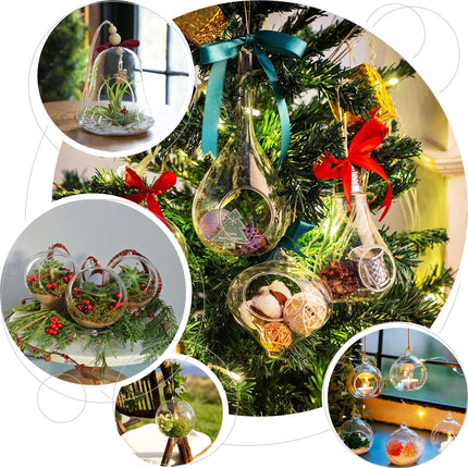 AliKopy Glass Terrarium - 9" Hanging Bell Design for Air Plants