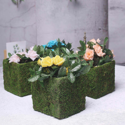 AliKopy 4-Pack 6" Square Planter Boxes with Green Preserved Moss Linin