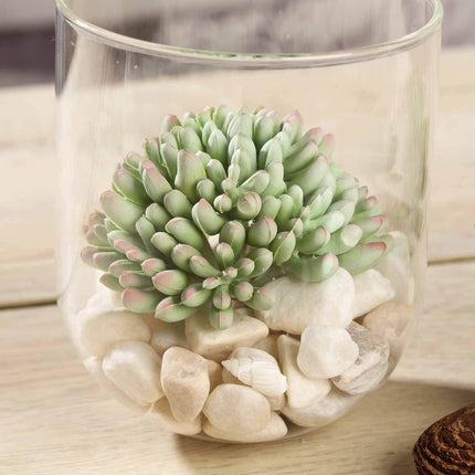 AliKopy 3 Pack Mini 4" PVC Jelly Bean Succulent Plants, Realistic Deco