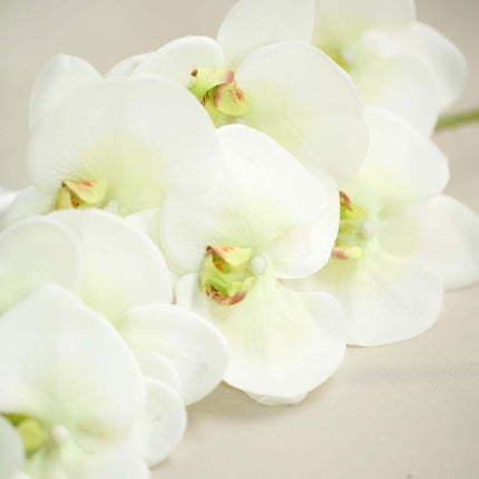 AliKopy 40" Tall Cream Artificial Silk Orchid Flower Bouquets - 2 Stem