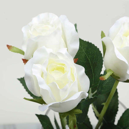AliKopy 31" Cream Long Stem Silk Roses - 24 Pcs, Realistic & Durable