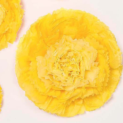 AliKopy Set of 6 Yellow Giant 3D Carnation Wall Flowers - 12"-20