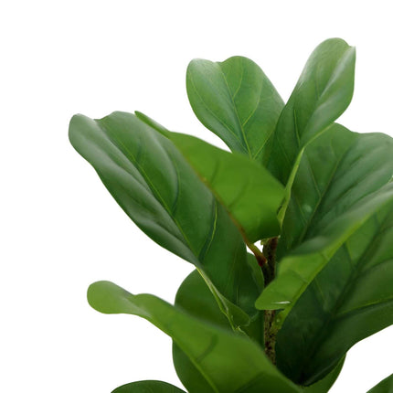 AliKopy 25" Green Artificial Fiddle Leaf Branches - Set of 2, Realisti