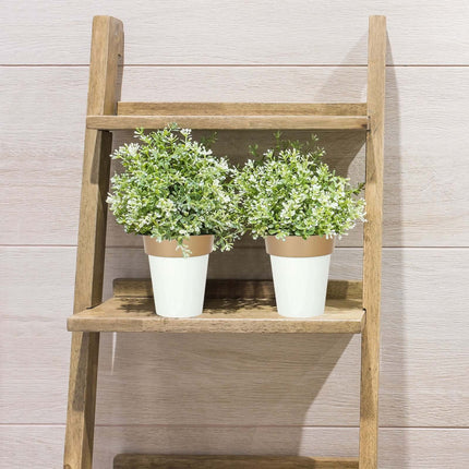 AliKopy 2-Pack Medium White Flower Pots with Gold Rim - 6" Indoor Plan