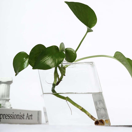 AliKopy 3-Pack Glass Wall Vases - Modern Rhombus Design Planters