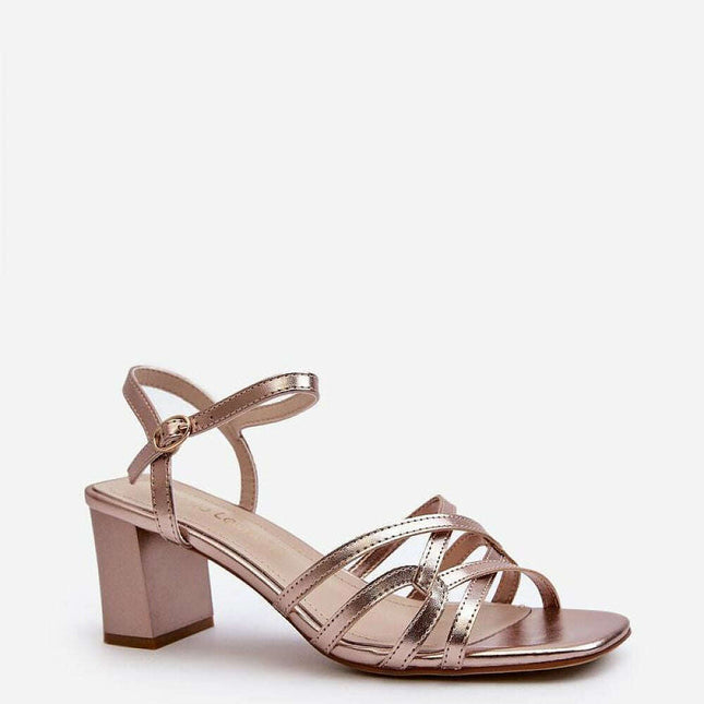 Heel sandals model 195745