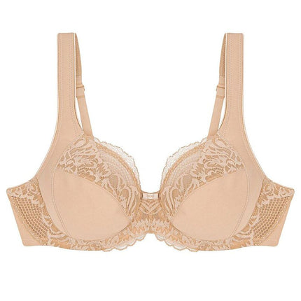  Soft model 229106 Triumph 