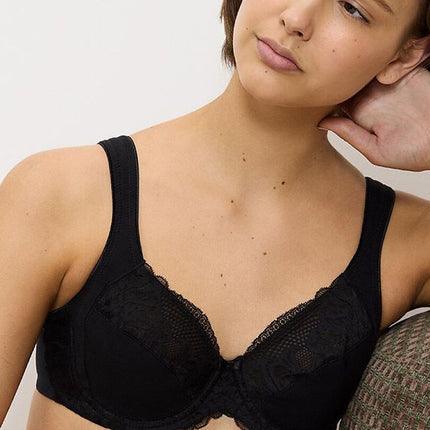 Soft model 229107 Triumph 