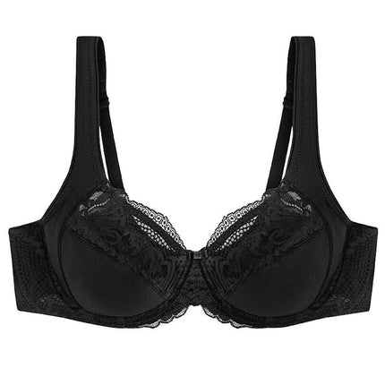  Soft model 229107 Triumph 