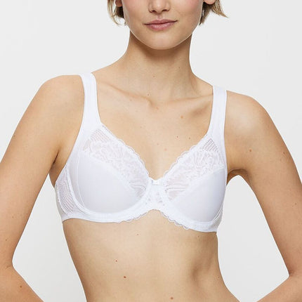  Soft model 229108 Triumph 