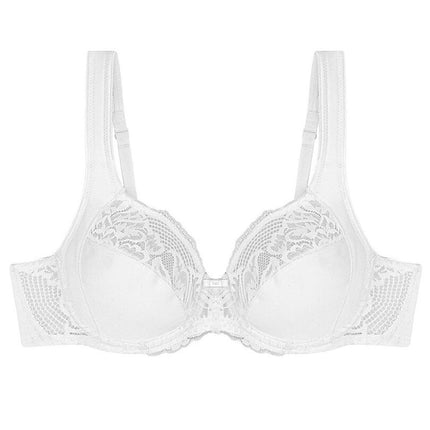  Soft model 229108 Triumph 