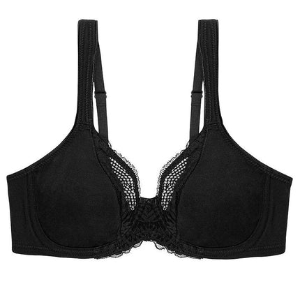  Soft model 229134 Triumph 