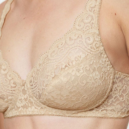  Soft model 229327 Triumph 
