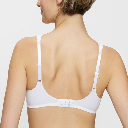  Soft model 229341 Triumph 
