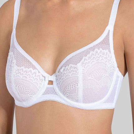  Soft model 229345 Triumph 
