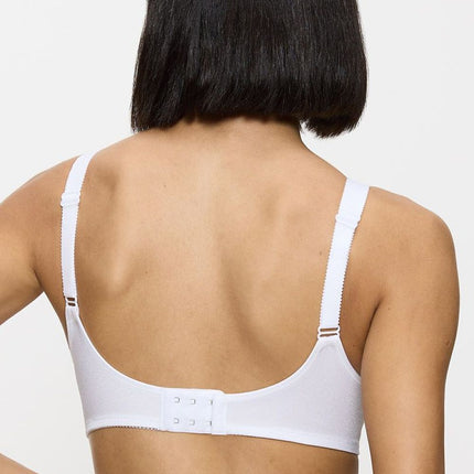  Soft model 229353 Triumph 