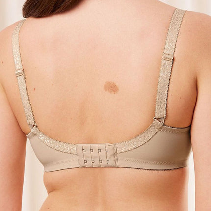  Soft model 229501 Triumph 