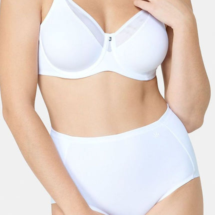 Soft model 229984 Triumph 