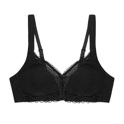  Soft model 229998 Triumph 