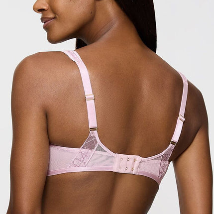  Soft model 230219 Triumph 