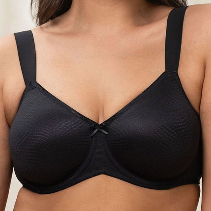  Soft model 230706 Triumph 