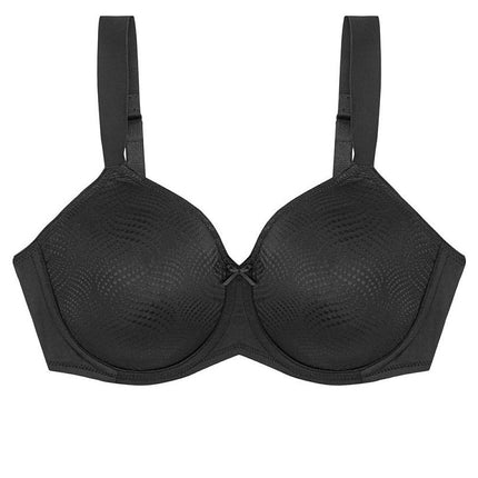  Soft model 230706 Triumph 