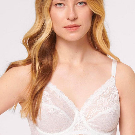  Soft model 232522 Triumph 