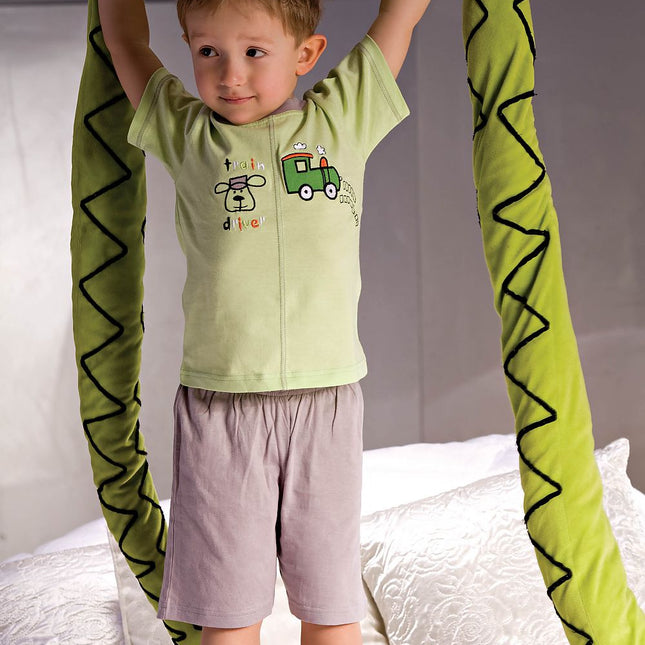 Two Tone Boys Pajamas Set Light Green Top With Dog And Locomotive Grey Shorts - Très Elite