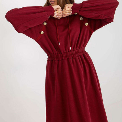 Chic Comfort Hoodie Dress