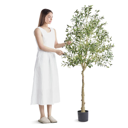 Peekaboo Studio 6FT Faux Olive Tree - Lifelike, Low-Maintenance Decor