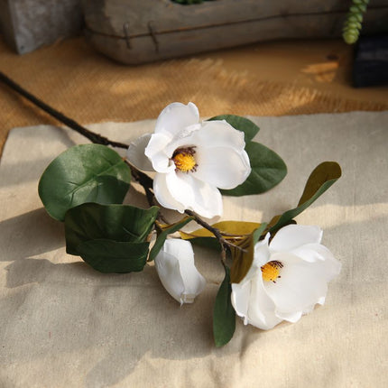Peekaboo Studio Simulated Magnolia Long Branch Floral Arrangement - Re